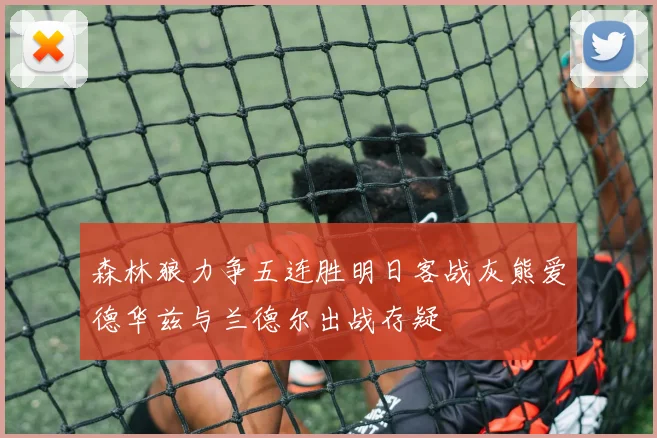 森林狼力争五连胜明日客战灰熊爱德华兹与兰德尔出战存疑