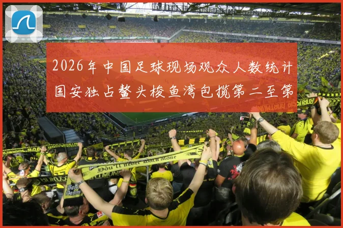 2026年中国足球现场观众人数统计国安独占鳌头梭鱼湾包揽第二至第七位