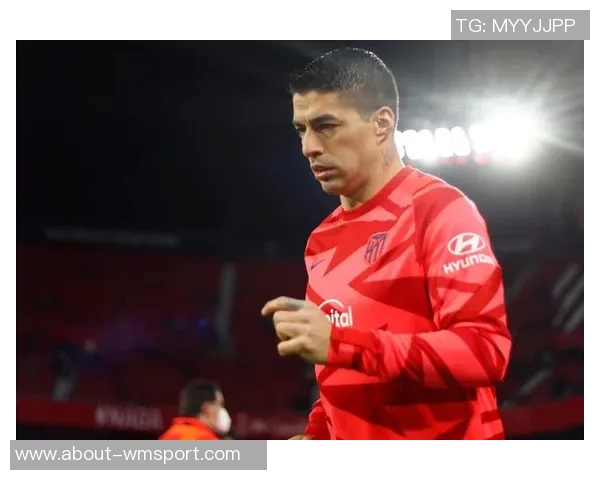 比尔西蒙斯看好黄蜂前景期待三球表现提升赢得球迷信任