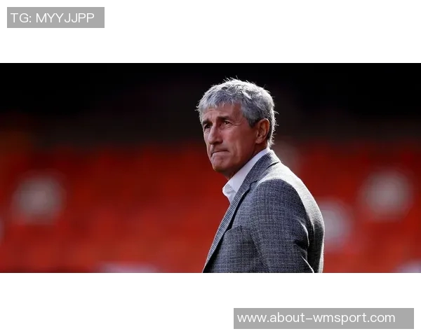 基克塞蒂恩先生离任公告及对未来发展的展望