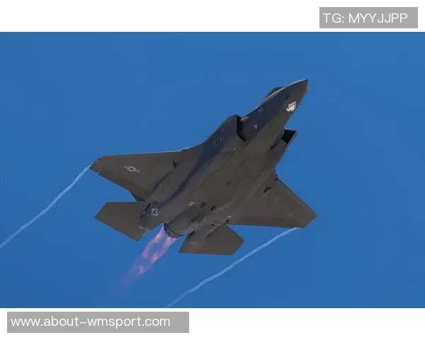 格里马尔多对A费表现评价：开局出色但需谨慎看待未来发展