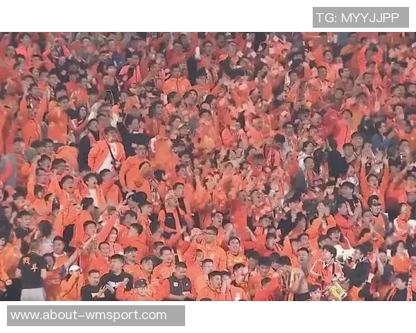 2025年泰山队主场完美收官感谢每一位支持我们的球迷朋友们